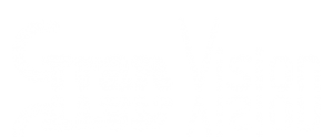 about_gran_vision
